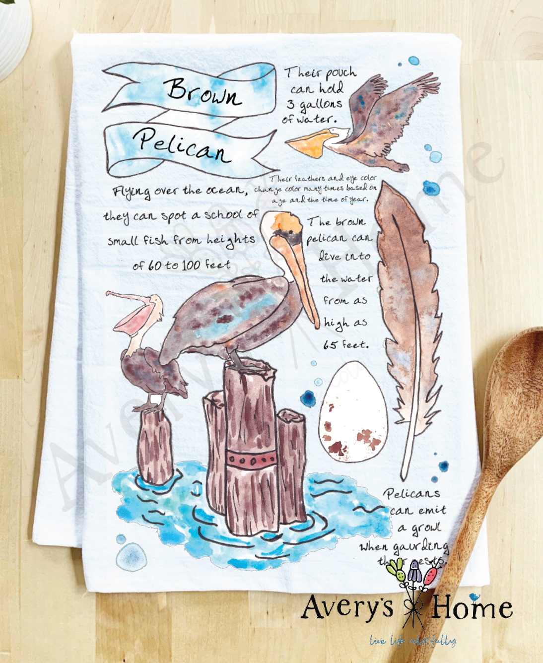 Avery Home All About the Pelican