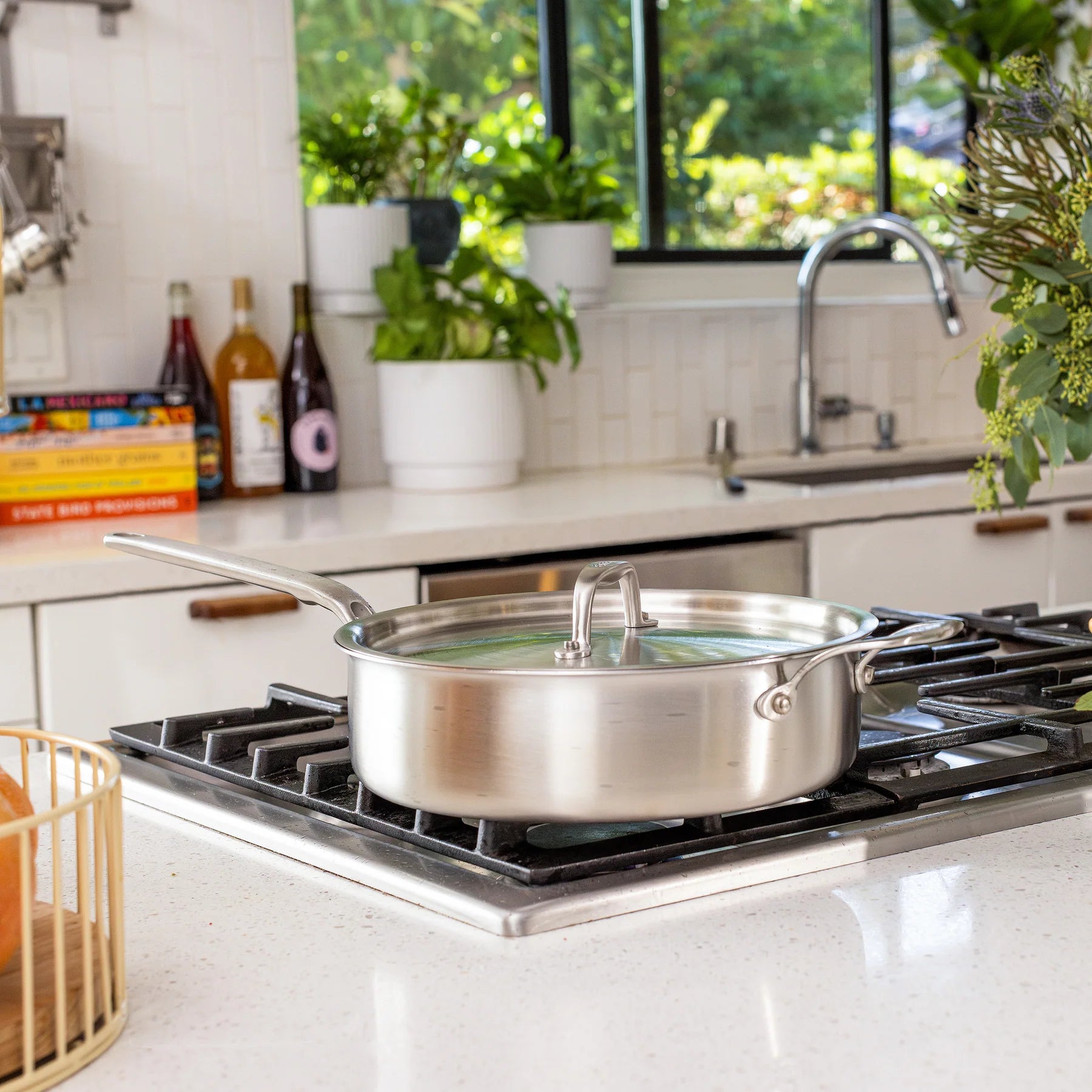 Stainless steel pot on a gas stove in a bright kitchen with plants and bottles in the background