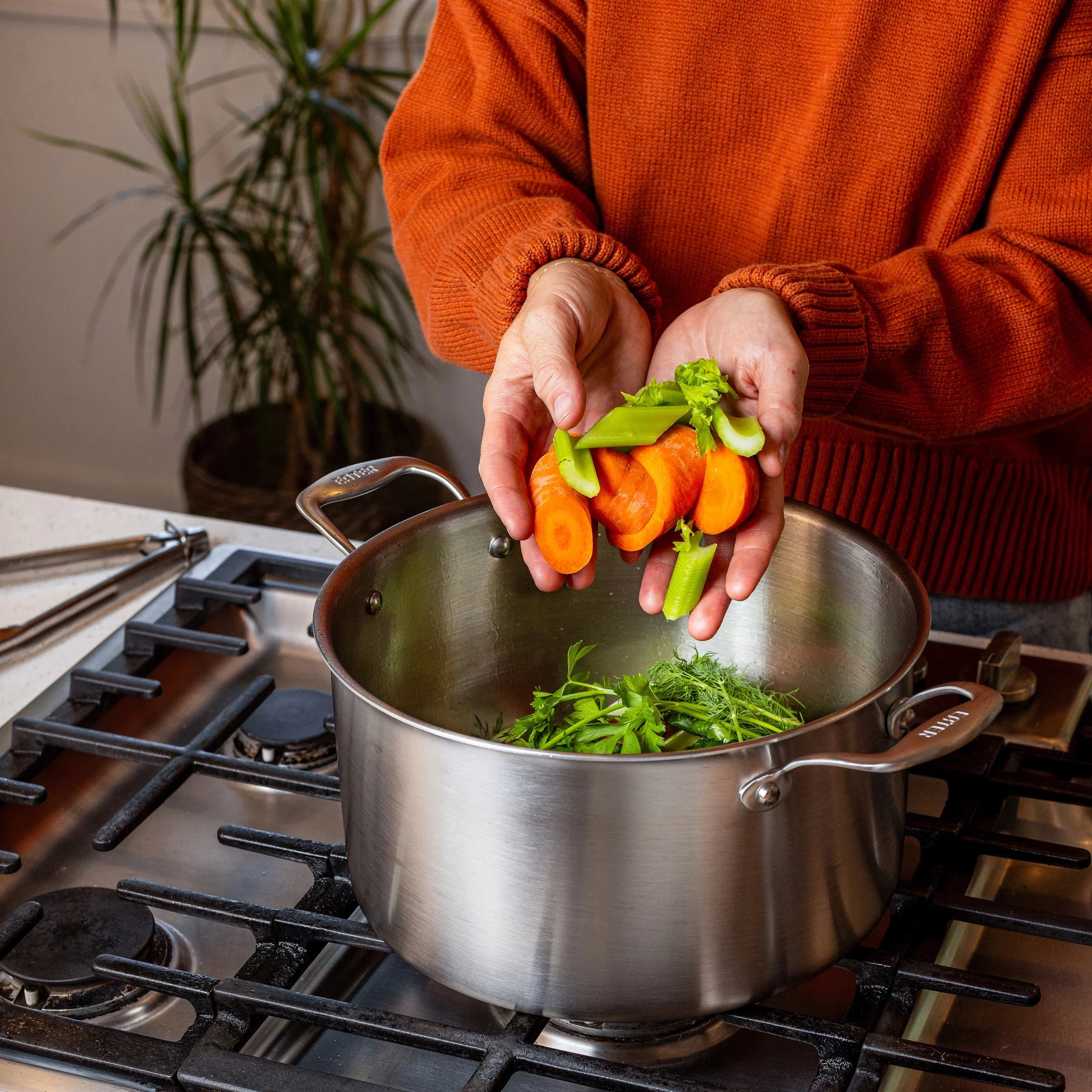 Person adding vegetables to a pot on a stove