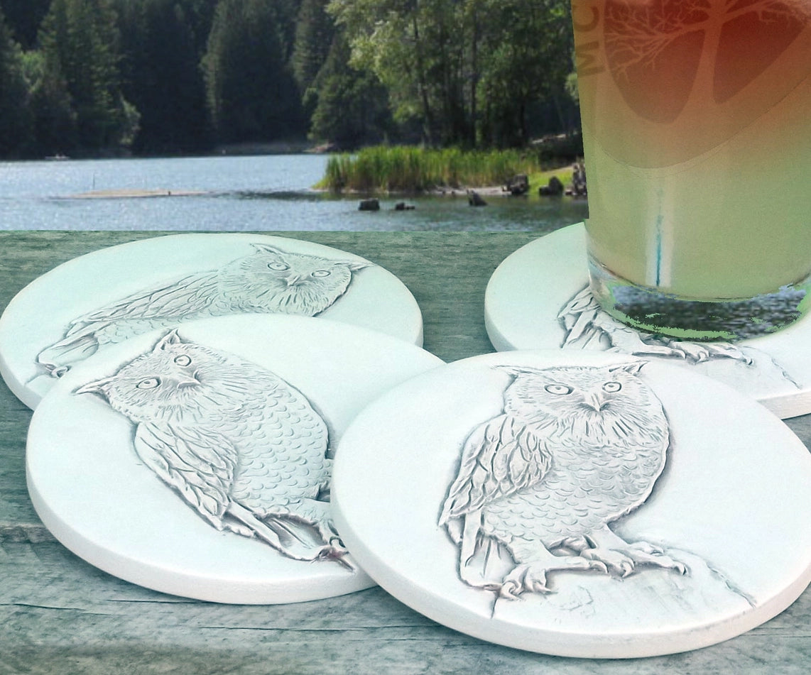 McCarter Owl Coaster Lifetyle