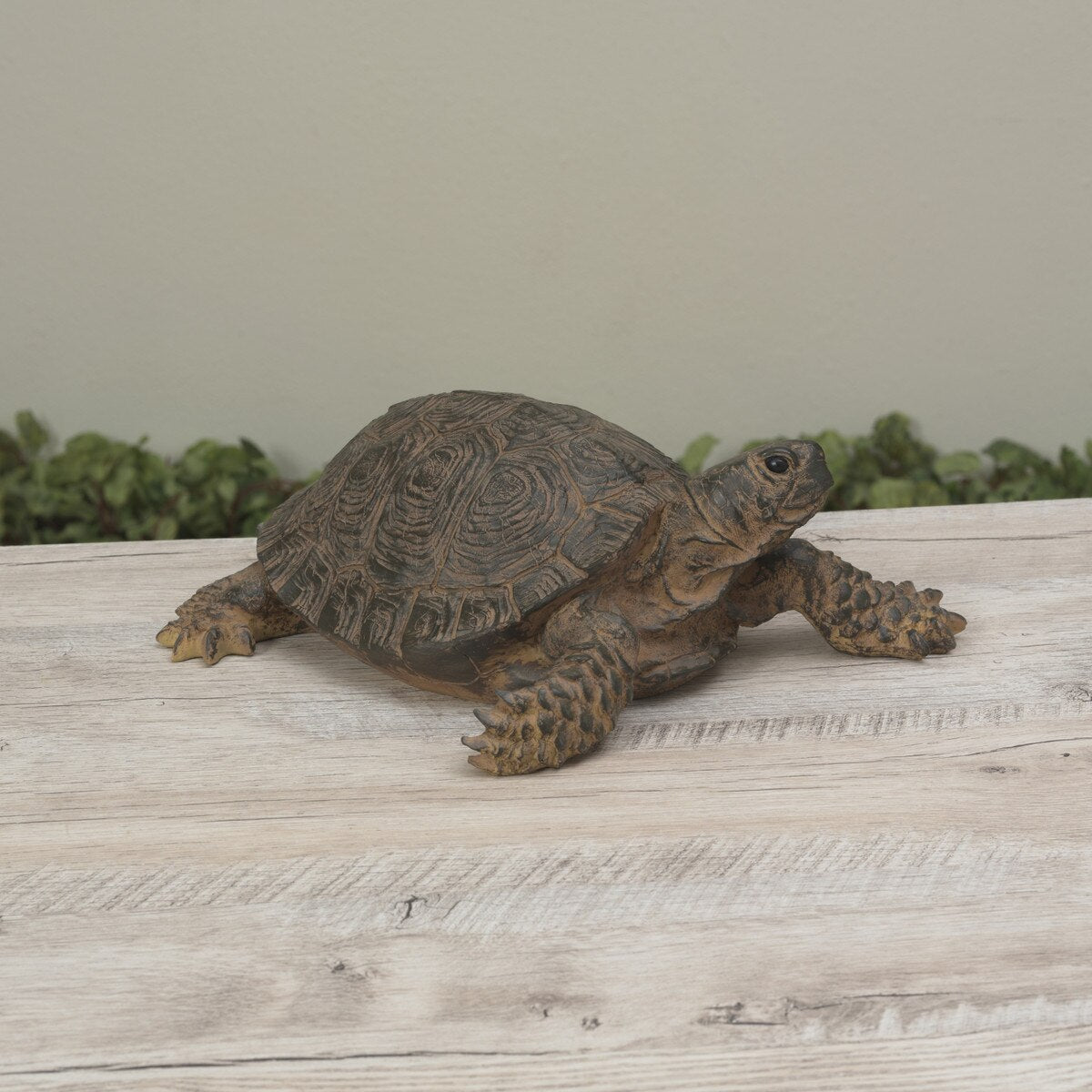 Tortoise on a wooden surface with a natural background