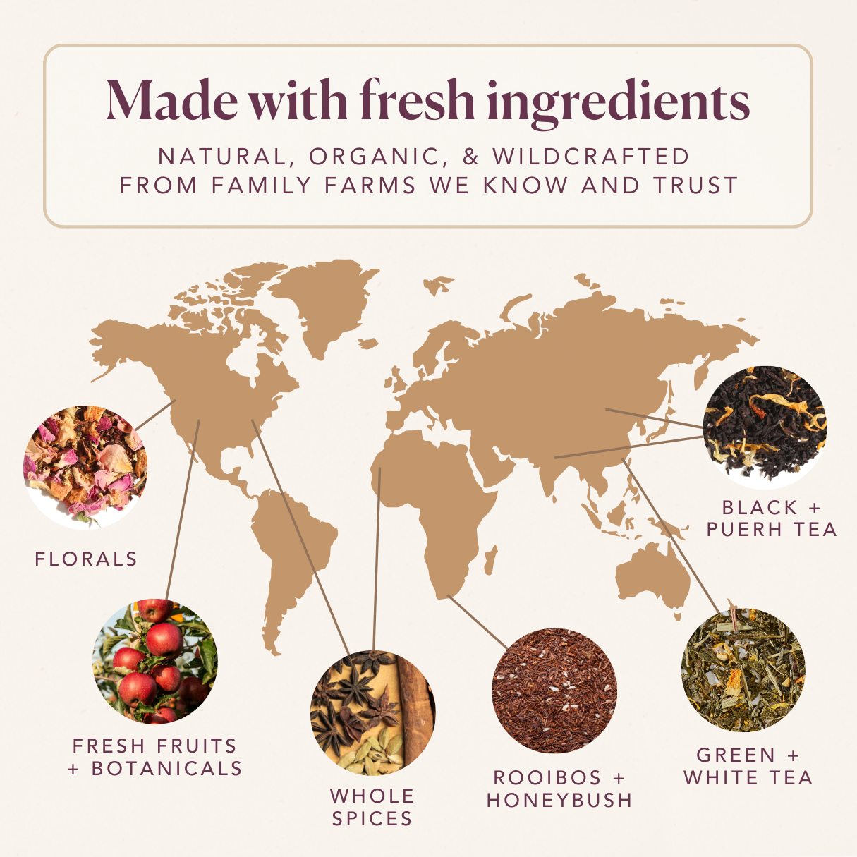 Plum Deluxe Road Trip Refresher Herbal Loose Leaf Tea