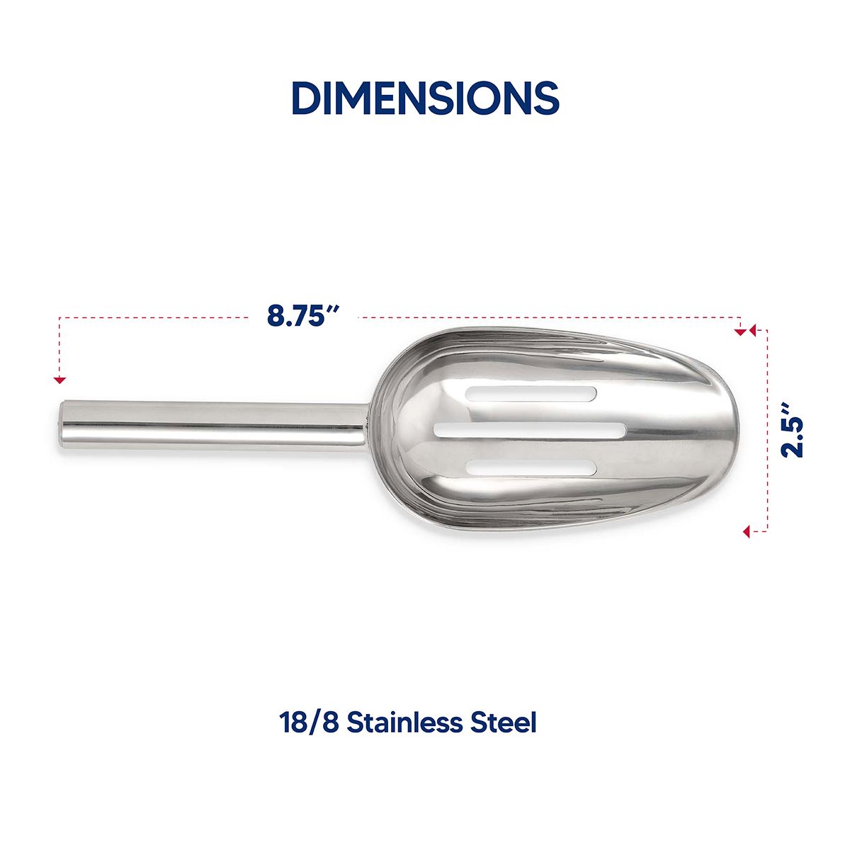 Stainless steel scoop with dimensions labeled on a white background