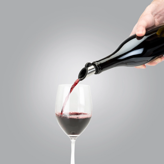 Host Wine Stopper & Pourer
