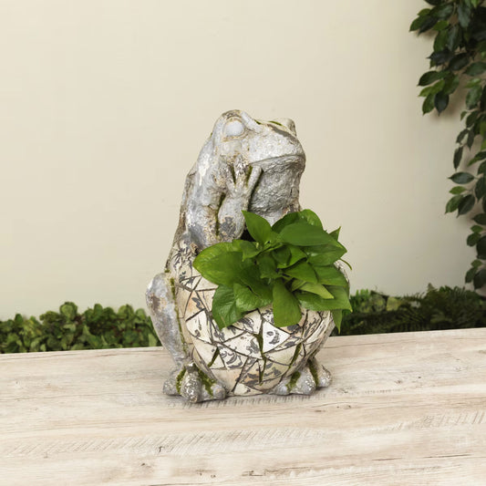 Decorative frog sculpture containing greenery on a wooden surface.