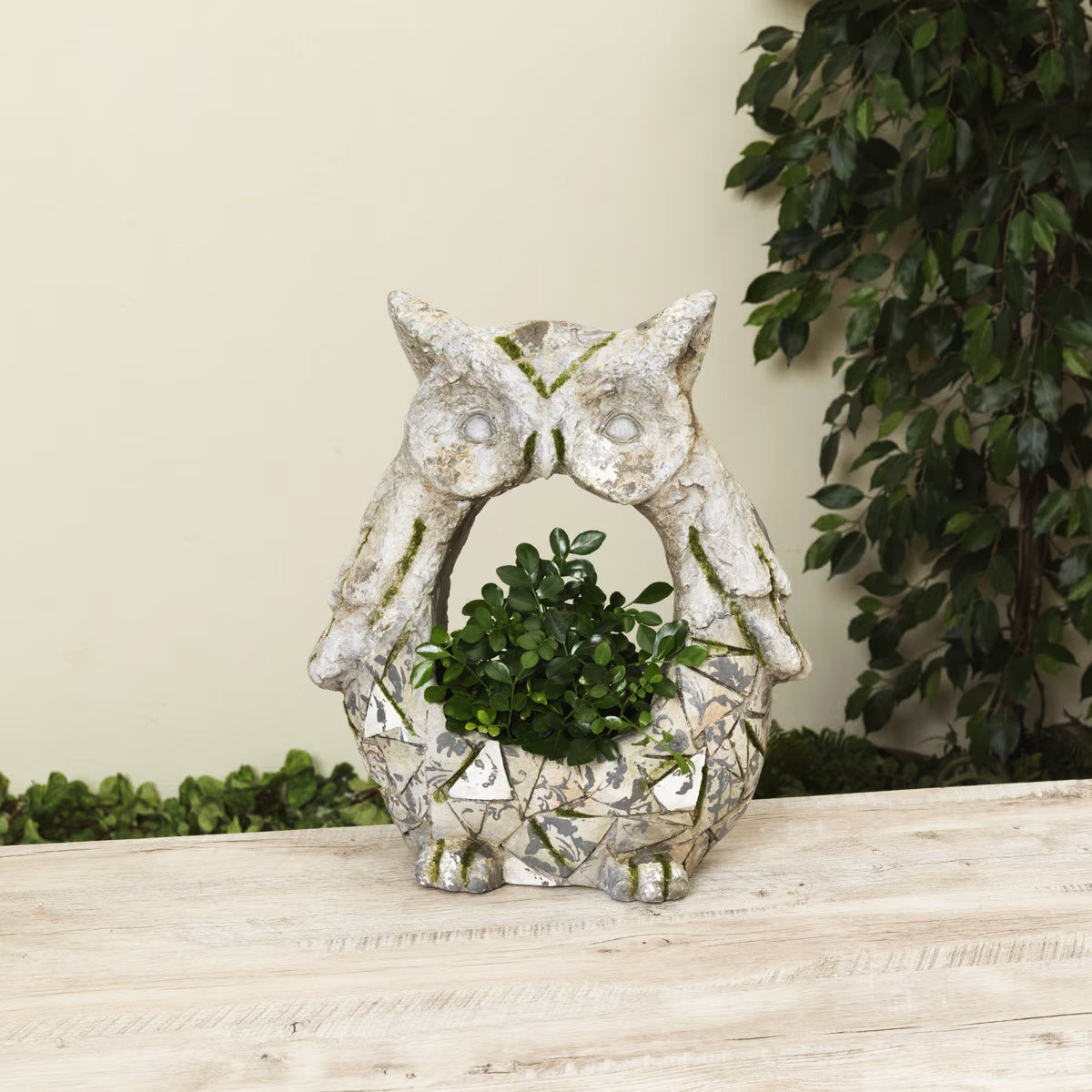 Decorative owl-shaped planter with a plant on a wooden surface