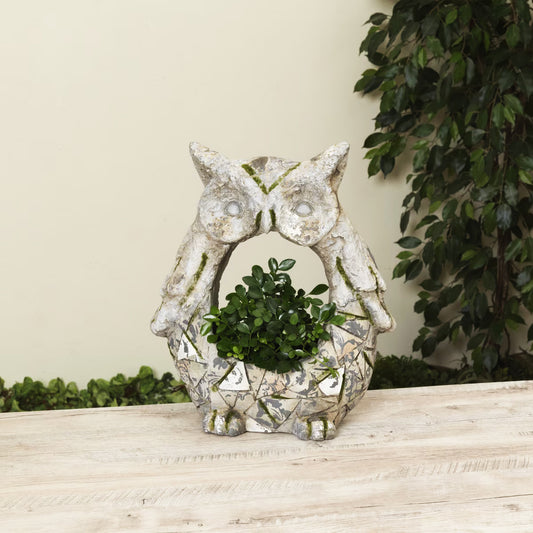 Decorative owl-shaped planter with a plant on a wooden surface