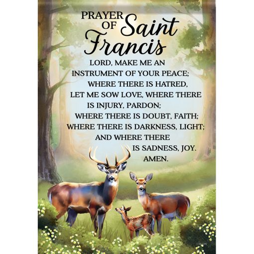 Carson Flag - St Francis Pray