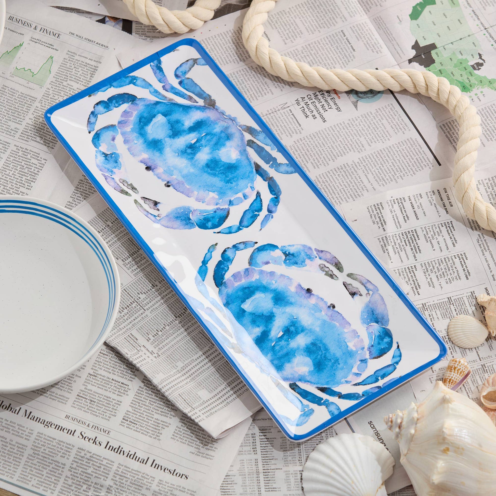 Rectangular platter with blue crab design on a newspaper background